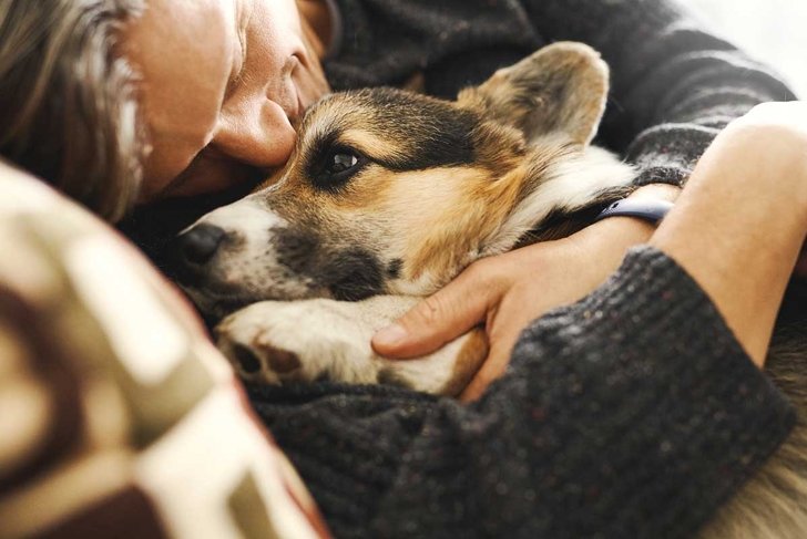 Portrait of young man embracing his pet. Cute Welsh Corgi puppy resting with owner, spending time together at home. Concept friendship with dog and human, cute moments, relaxing, carefree.