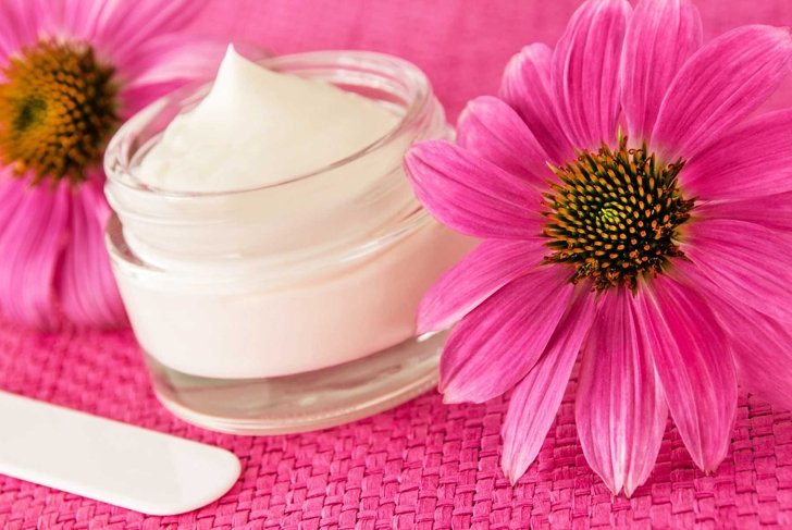 Echinacea natural healing cream and flowers