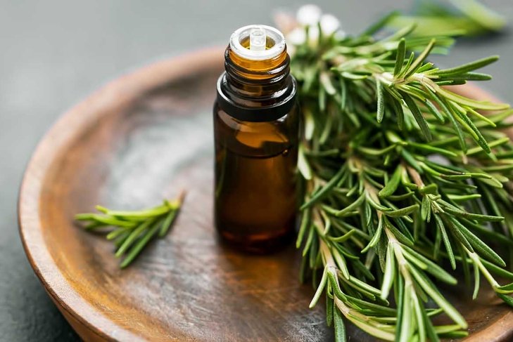 Rosemary essential oil bottle with rosemary herb bunch on wooden plate, aromatherapy herbal oil