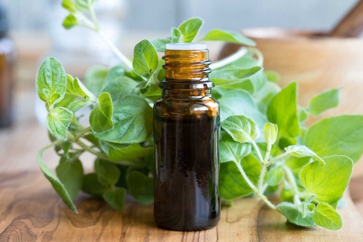 A bottle of oregano essential oil with fresh oregano leaves in the background