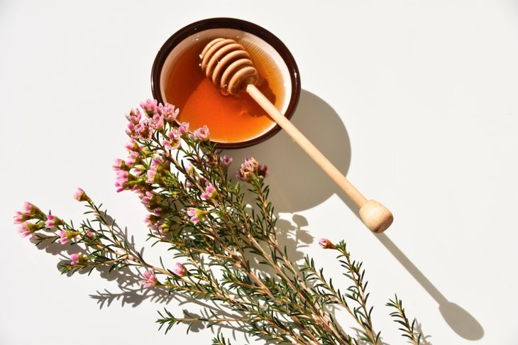 What You Need to Know About Manuka Honey\'s Immunity Benefits
