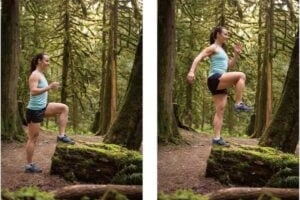 Step-Up with Knee Raise