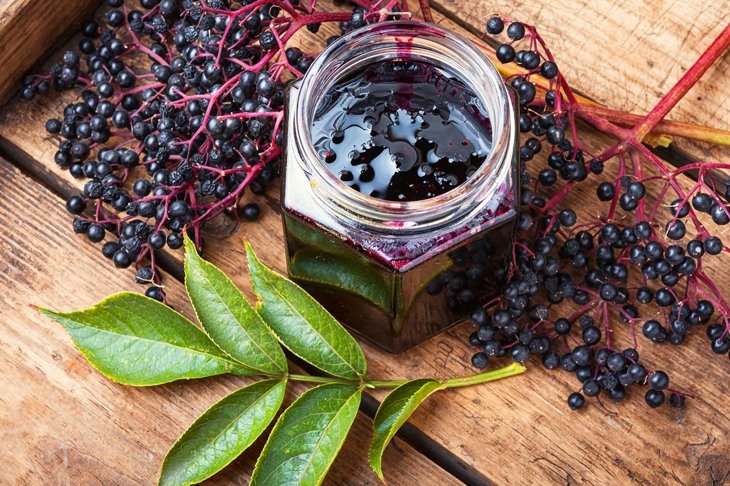 Elderberry jam and fresh berries.Homemade jam.Seasonal berries