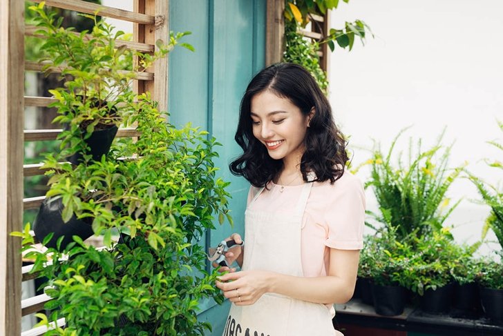 Cute asian woman gardener cutting plants with garden scissors in greenhouse