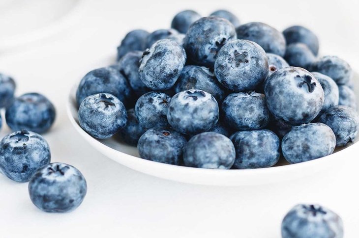 Blueberries in a white plate on a white background
